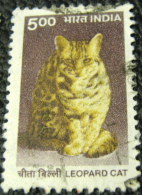 India 2000 Leopard Cat 5.00 - Used - Used Stamps