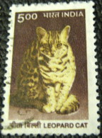 India 2000 Leopard Cat 5.00 - Used - Usati