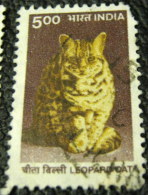 India 2000 Leopard Cat 5.00 - Used - Used Stamps