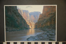 ARIZONA   EARLY MORNING ALONG THE COLORADO RIVER - Altri & Non Classificati