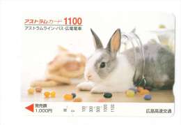 JAPON  LAPIN - Rabbits