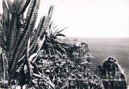 MONACO - Un Coin Des Jardins Exotiques , Vue Sur Le Rocher De Monaco - Circulée En 1953, 2 Scans - Exotische Tuin