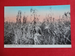 Council Bluffs,IA--Iowa Corn Field--not Mailed--PJ 124 - Altri & Non Classificati