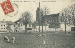 Brie-Comte-Robert - Boulevard De L'Ouest --Moutons Pâturant - 1907 ( Voir Verso ) - Brie Comte Robert