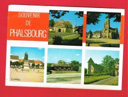 PHALSBOURG  ( Moselle )  2 Cartes... - Phalsbourg