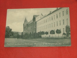 TILDONK - THILDONCK  -  Pensionnat Des Religieuses Ursulines   -  Vue Prise Du Parc   -  1919 - Haacht