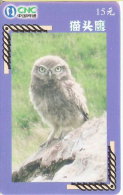 TARJETA DE CHINA DE UN MOCHUELO (OWL-BUHO) - Uilen