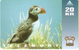 TARJETA  DE FEROE DE UN FRAILECILLO  (BIRD-PAJARO) PUFFINS - Isole Faroe