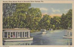 Florida Silver Springs Electric Glass Bottom Boats At Beautiful Silver Springs - Silver Springs