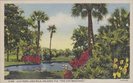 Florida Orlando Lily Pond Lake Eola The City Beautiful - Orlando