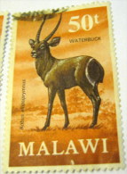 Malawi 1971 Waterbuck 50t - Used - Malawi (1964-...)