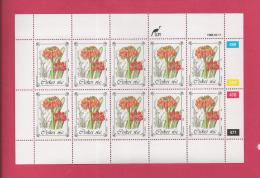 CISKEI, 1988, MNH Stamp(s) In Full Sheets, Protected Plants, Nr(s) 127-130, Scan S930 - Ciskei