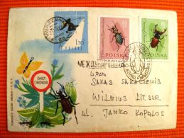 Cover Sent From Poland To Lithuania On 1962, Special Cancel Animals Insects Sport Ski Slalom - Covers & Documents