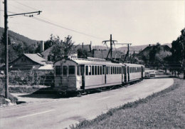 Chemin De Fer Schaffhouse, Train à  Beringen, Photo 1964 BVA  StSS 14.9 - Schaffhouse