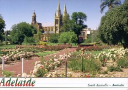 (972) Australia - SA - Adelaide Cathedrale - Adelaide