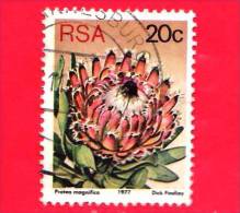 RSA - SUD AFRICA - 1977 - Usato - Protea Magnifica - 20 - Usados