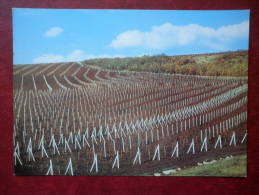 Vineyard Drawing - 1975 - Moldova USSR - Unused - Moldova