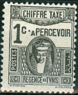 TUNISIA, PROTETTORATO FRANCESE, FRENCH PROTECTORATE, SEGNATASSE, 1923,  NUOVO (MNG), Mi P37, Scott J12, YT T37 - Nuevos