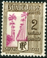 GUADALUPA, GUADELOUPE, COLONIA FRANCESE, FRENCH COLONY, 1928, FRANCOBOLLO NUOVO (MNG), Scott J25 - Unused Stamps