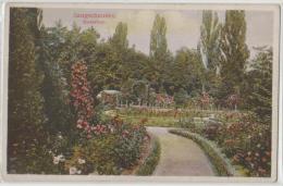 Germany - Sangerhausen - Rosarium - Sangerhausen