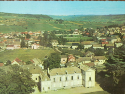 21 - MEURSAULT - Le Château (le Village - Vue Générale Aérienne) CPSM - Meursault