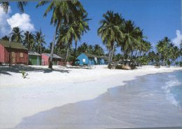 (115) Santo Domingo Island - Beach - Dominikanische Rep.