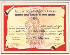 Diplôme Fédération Royale Marocaine Des Sports Equestres 1984 - Diplômes & Bulletins Scolaires