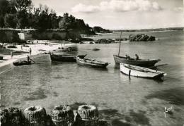 Beg Meil Un Coin Du Port Editions Yvon Carte Animée Bateaux Barques Pecheurs - Beg Meil