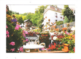 38 - TULLINS - Vue Partielle De La Résidence RHÔNE ALPES - DECOR FLEURS EN POTS - Tullins