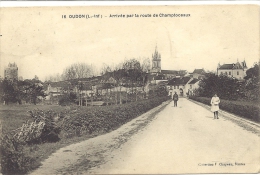 44 -  Oudon : Arrivée Par La Route De Champtoceaux - Oudon