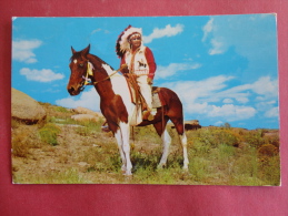 Arizona--Indian Chief--cancel No Year--PJ 128 - Sonstige & Ohne Zuordnung