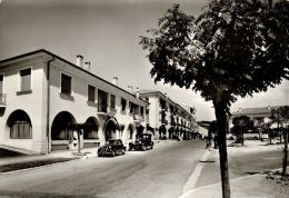 CPSM  SAINT LAURENT DU VAR   Avenue Du Général Leclerc Avec Ses Commerces - Saint-Laurent-du-Var