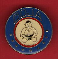 29115-pin's Bas Dauphine Judo Association - Bdja - Judo