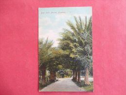 Honolulu,HI--Date Palm Avenue--not Mailed--PJ 129 - Sonstige & Ohne Zuordnung