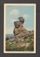 QUÉBEC - GASPÉ - CAP CHAT - GASPÉSIE - LE ROCHER CHAT - PHOTO C.N.R. - Gaspé