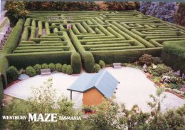 (325) Australia - TAS - Westbury Maze - Andere & Zonder Classificatie