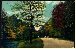 Partie In Einer Parkanlage  -  Ansichtskarten Ca.1918   (1940) - Da Identificare