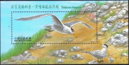 Crested Tern Bird Kingfisher MS Taiwan Stamp MNH - Autres & Non Classés