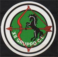 DISTINTIVO XII GRUPPO C.I. - Fliegerei