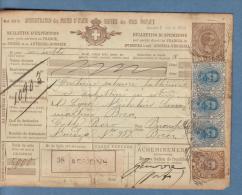 1899 - Bollettino Pacchi Per L'Argentina - Postpaketten