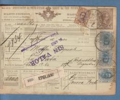 1898 - Bollettino Pacchi Per L'Argentina - Postal Parcels