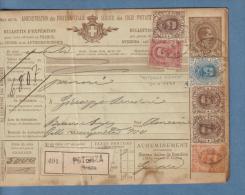 1898 - Bollettino Pacchi Per L'Argentina - Postal Parcels