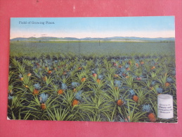 Honolulu,HI--Field Of Growing Pines--cancel1920--PJ 130 - Sonstige & Ohne Zuordnung