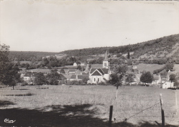 ¤¤   58855  - BRINON-sur-BEUVRON -  Taconnay -  Vue Générale  ¤¤ - Brinon Sur Beuvron