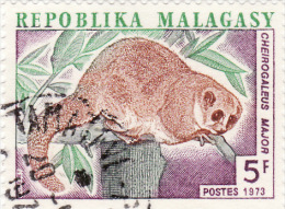 1973 Madagascar - Cheirogaleus Major - Nager