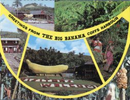 (111) Australia - NSW - Coffs Harbour Big Banana - Coffs Harbour