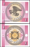 Kyrgyzstan 1 Tiyin Eagle Banknotes Uncirculated UNC - Andere & Zonder Classificatie
