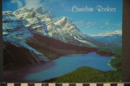 CANADA ALBERTA  CANADIAN ROCKIES  PEYTO LAKE  BANFF NATIONAL PARK - Other & Unclassified