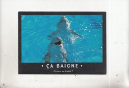 BT9302 Animals Animaux Dolphin Dauphin - Delfines