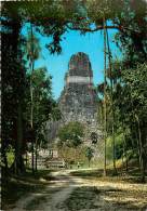 CPSM Guatemala-Temple Giant Jaguar-Tikal Petén     L1339 - Guatemala
